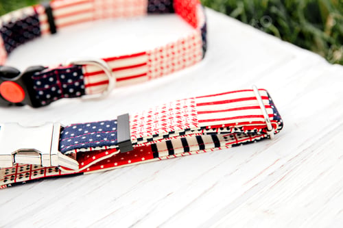 Preview: Dog Collar and Leash set. Pet Supplies and Walking Gear Collection