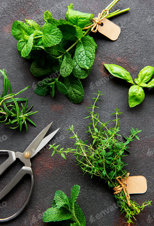 Preview: Kitchen herbs