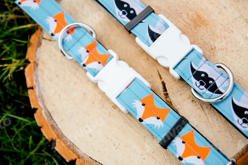 Preview: Dog Collar and Leash set. Pet Supplies and Walking Gear Collection