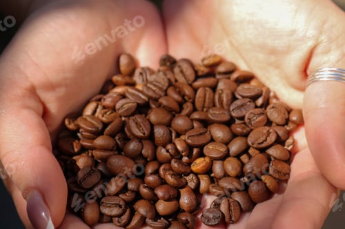 Vorschau: Kaffeebohnen