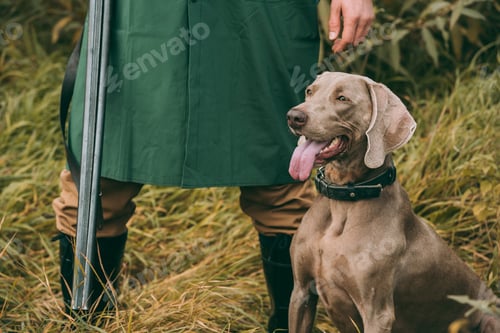 Preview: Cropped image of man in raincoat standing with a hunting dog and gun