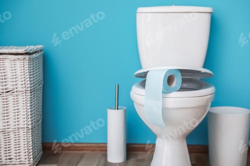 Preview: Toilet bowl with paper roll in bathroom