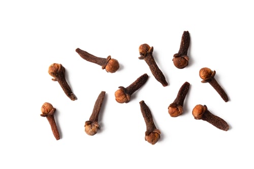 Preview: Dried clove spice on the white background