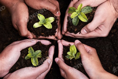 Preview: High angle shot of a group of unrecognizable people holding plants growing out of soil