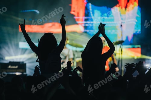 Preview: Two woman in the crowd at a music festival