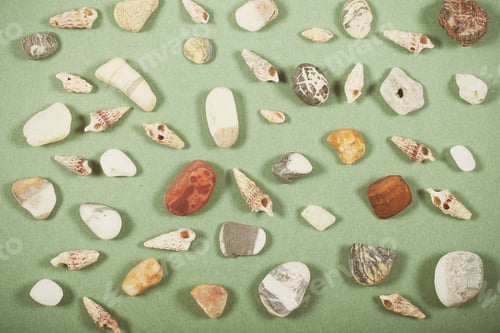 Preview: Shells And Stones Lie On A Bright Background