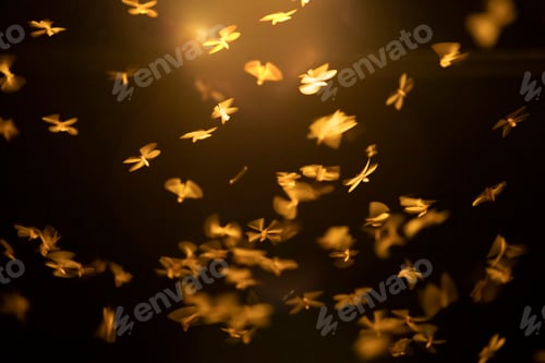 Preview: Abstract and magical image of flying moths.