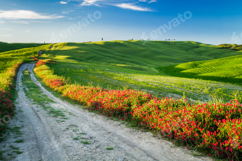 Preview: Beautiful view of green fields and meadows at sunset in Tuscany