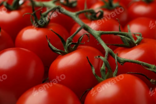 Preview: Fresh cherry tomato on whole background, close up