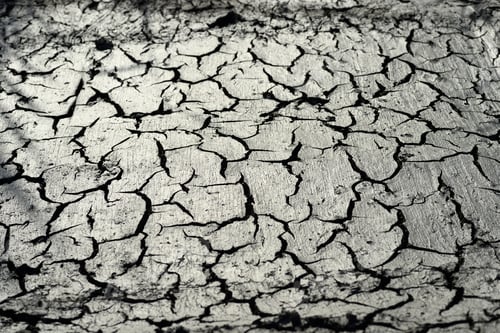Preview: Desertification process where biological productivity is lost
