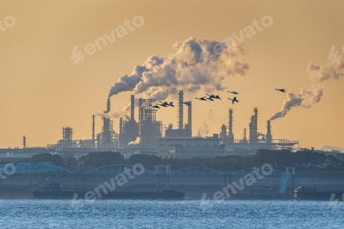 Preview: little swans fly over the thick smoking oil refinery