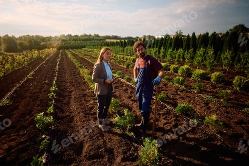 Visualização: Empresária e trabalhadora em pé entre mudas de árvores no campo.