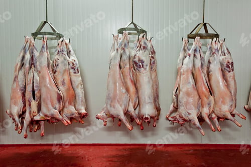 Preview: Slaughter house