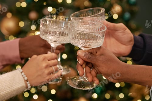 Visualização: Grupo diversificado de jovens adultos brindando taças de champanhe comemorando juntos