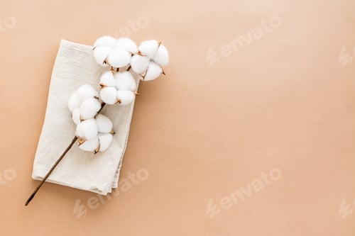 Preview: A branch of cotton on a folded fabric on a beige background. Natural background. Top view.