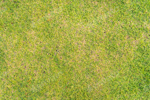 Preview: Pattern surface texture. Close-up of material for background