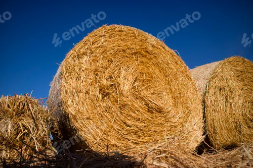 Preview: Straw pressed for animals