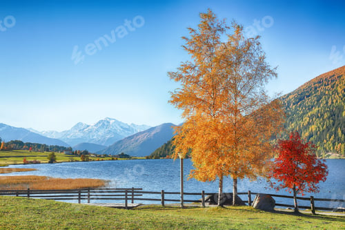 Preview: Fabulous autumn view of Haidersee (Lago della Muta) lake with Ortler peak on background.