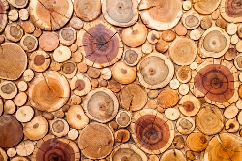 Preview: Round wooden stumps background,Trees cut section for background texture.
