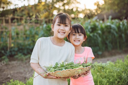 Preview: Little children play and exploring in the garden with thier planting