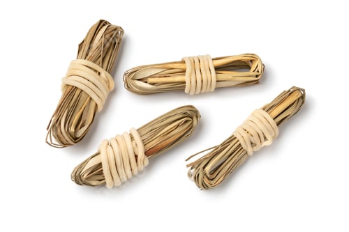 Preview: Dried Juncus Effusus close up on white background