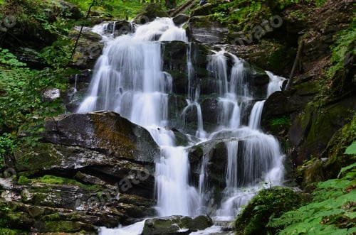 Preview: Waterfall Flowing Down Rocks in a Forested Area