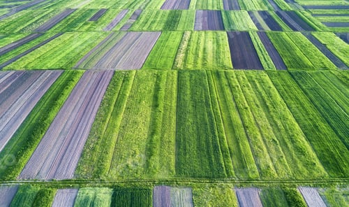 Preview: View on the field from air. Rows on the field. Natural aerial landscape