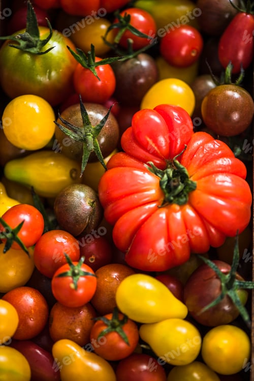 Preview: Close view on farm fresh tomatoes