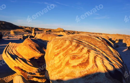 Preview: Bisti