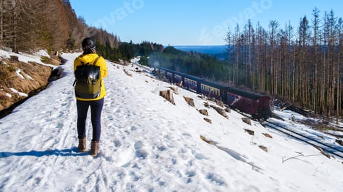 Preview: women watching the steam train during winter in the snow in the Harz Germany