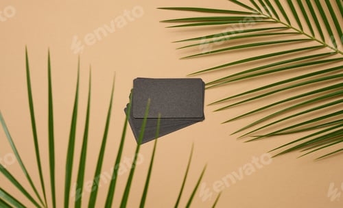 Preview: Stack of rectangular black paper business cards and a leaf of a palm tree