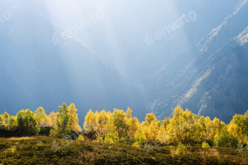 Preview: Autumn forest in a mountain valley