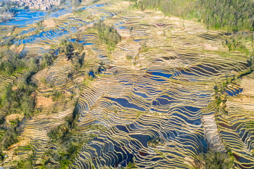 Preview: aerial view of beautiful yuanyang terraced fields