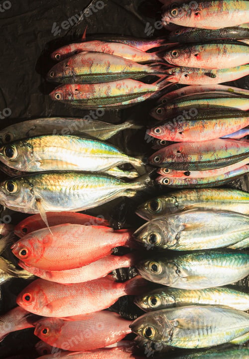 Preview: Fresh fish for sale in market