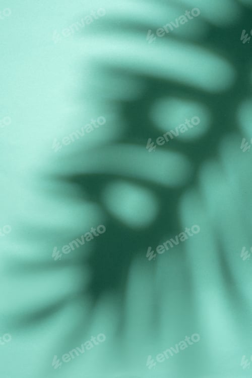 Preview: Shadows from palm leaves