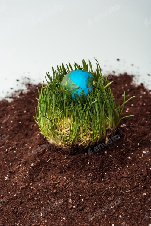 Preview: seedling with earth model on soil isolated on white, earth day concept