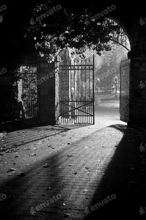 Preview: Park Entrance Gate At Night