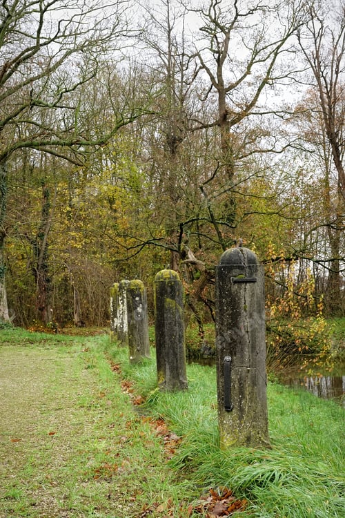 Preview: Weathered Stone Pillars in Autumn Forest