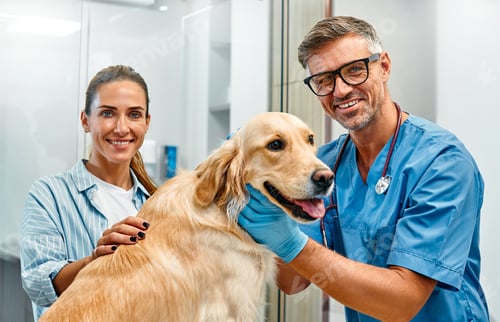 Preview: Animals for examination and treatment in the veterinary clinic