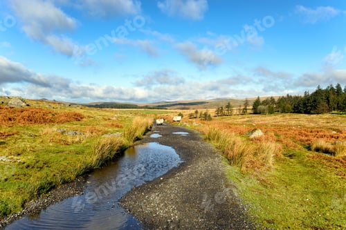 Preview: Dartmoor in Devon