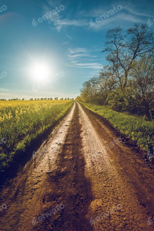 Preview: Sunshine and rural road in Bakota