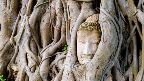 Preview: Ayutthaya, Thailand at Wat Mahathat, Temple stupa in the morningvisiting Ayyuthaya Thailand