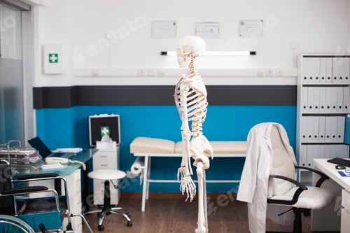 Preview: Orthopedic skeleton display in clinic