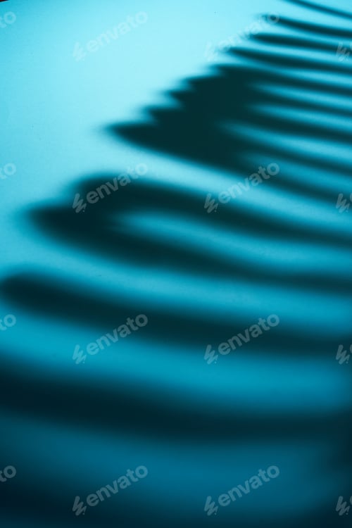 Preview: Beautiful monstera leaves shadow colored background in artificial light