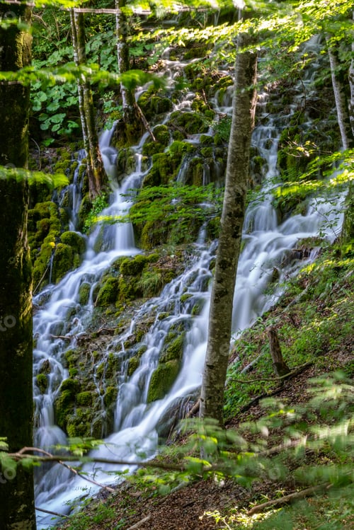 Preview: Flowing waterfall surrounded by dense trees