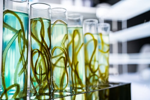 Preview: green alga laboratory research, alternative biofuel energy technology, biotechnology concept