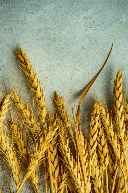 Preview: Close up of wheat ears