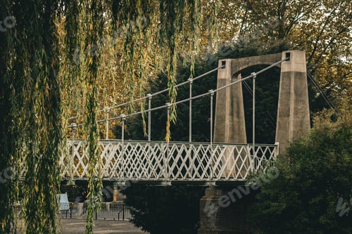 Preview: Pedestrian bridge stands tall in the park surrounded by lush foliage