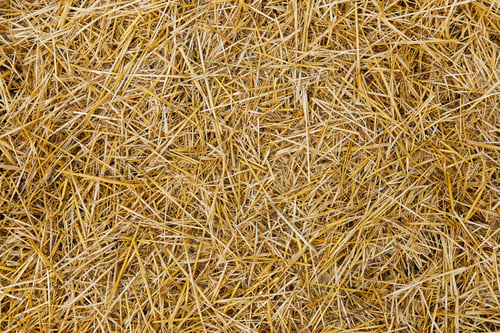 Preview: natural background, dry straw, hay
