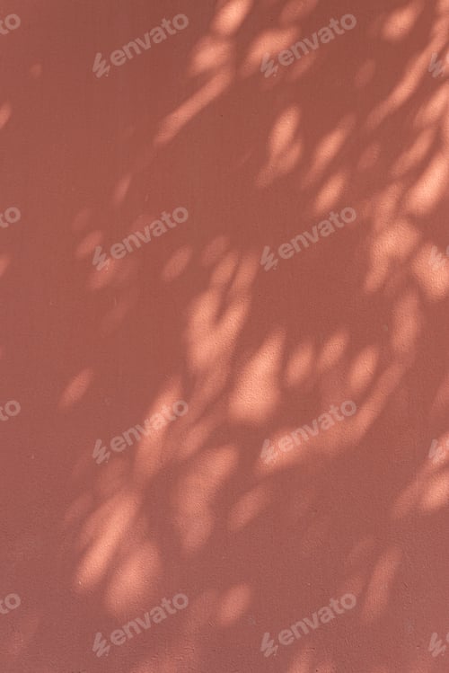 Preview: Shadow of leaves on an orange wall
